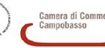 camera di commercio campobasso2