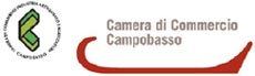 camera di commercio campobasso2