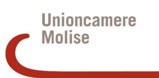 logo unione