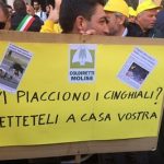 manifestazione roma